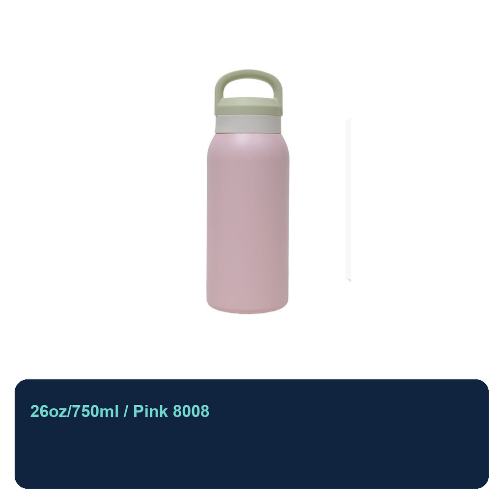 750ml Stainless Steel Insulated Carry Bottle