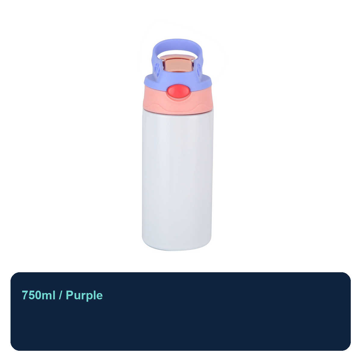 Stainless Steel Loop-Lid Insulated Bottle