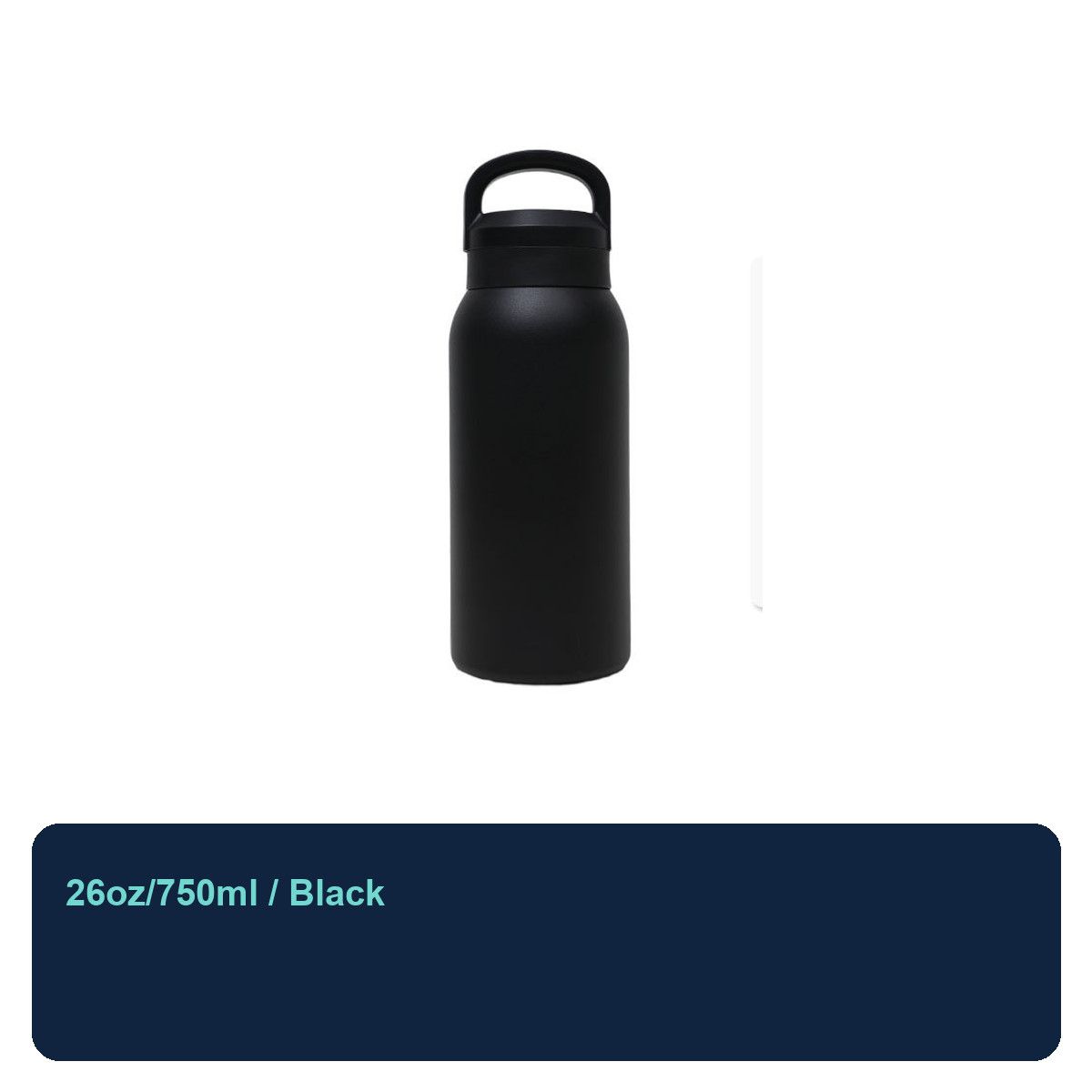750ml Stainless Steel Insulated Carry Bottle