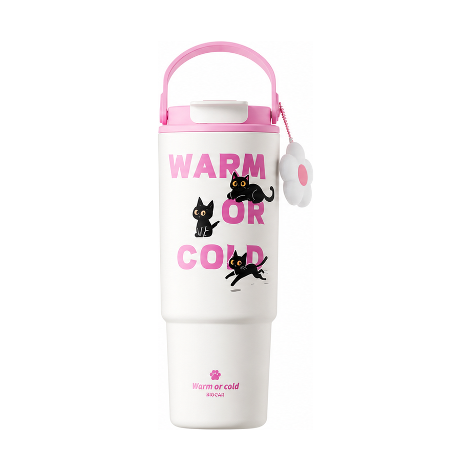 Custom 880ml 316 Stainless Steel Ceramic-Lined Art Tumbler