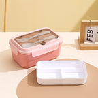 Custom Logo PP and Stainless Steel Divided Lunch Box