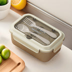 Custom Logo PP and Stainless Steel Divided Lunch Box