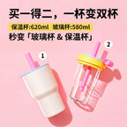 2-in-1 Borosilicate Glass & Stainless Steel Straw Tumbler – 580/620 ml