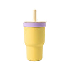 2-in-1 Borosilicate Glass & Stainless Steel Straw Tumbler – 580/620 ml