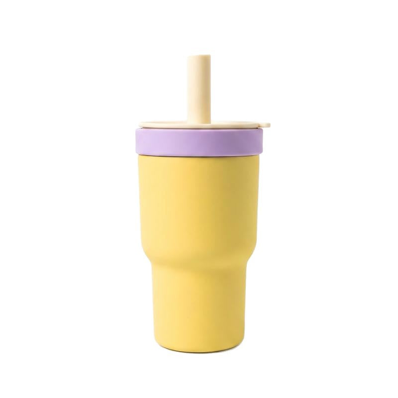 2-in-1 Borosilicate Glass & Stainless Steel Straw Tumbler – 580/620 ml