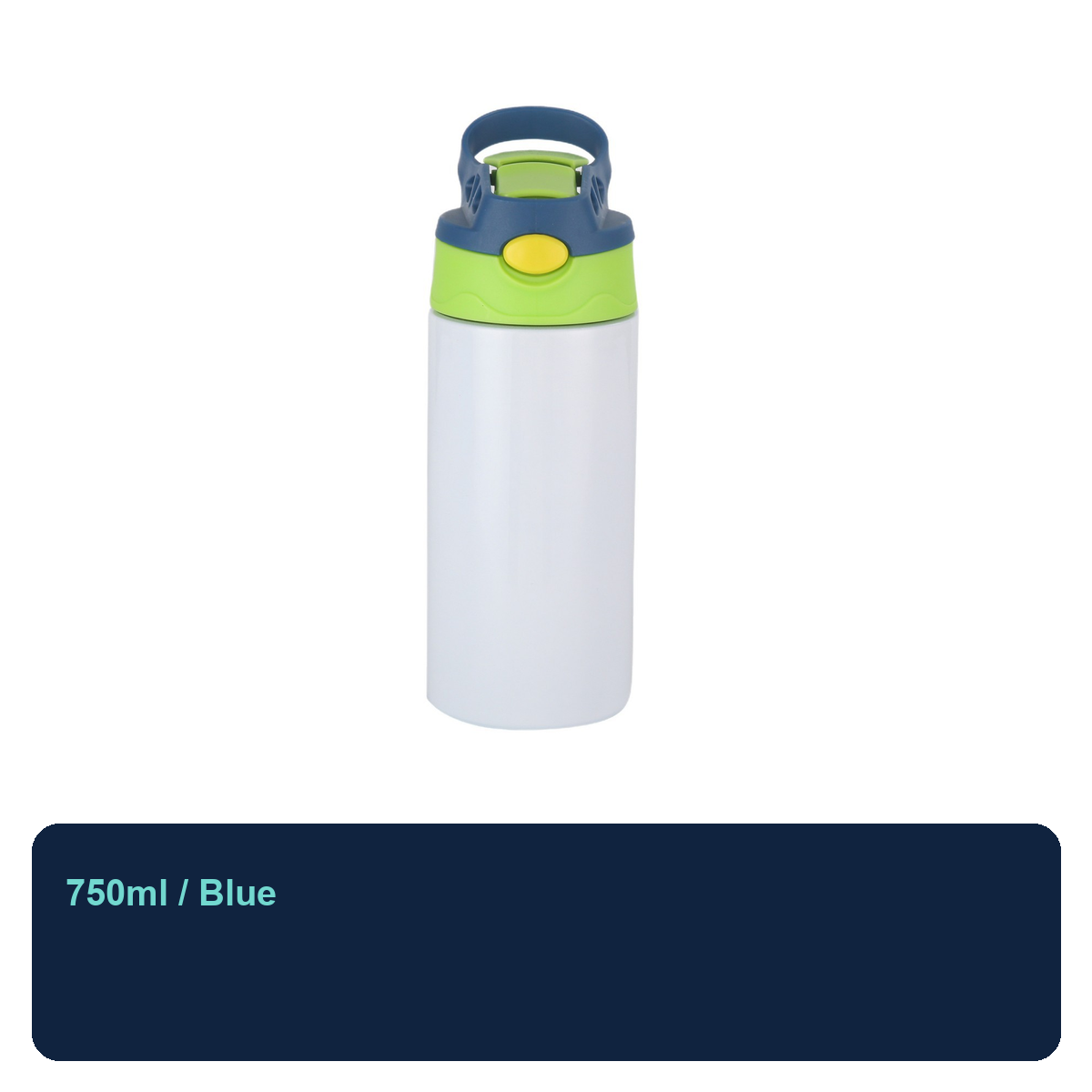 Stainless Steel Loop-Lid Insulated Bottle