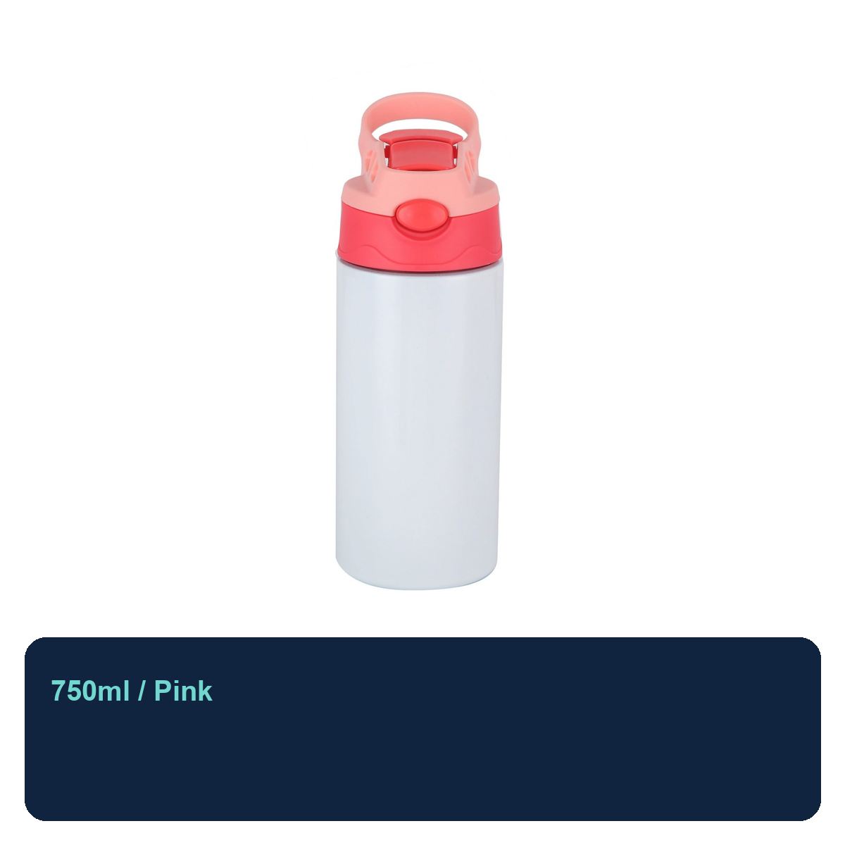 Stainless Steel Loop-Lid Insulated Bottle